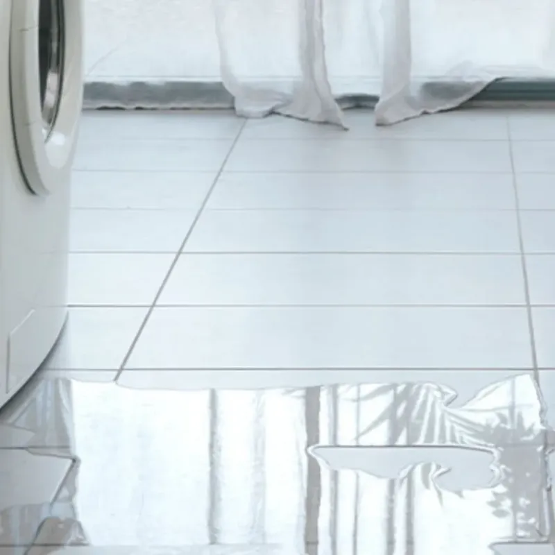 Appliance Leak Cleanup in Custer County, ID