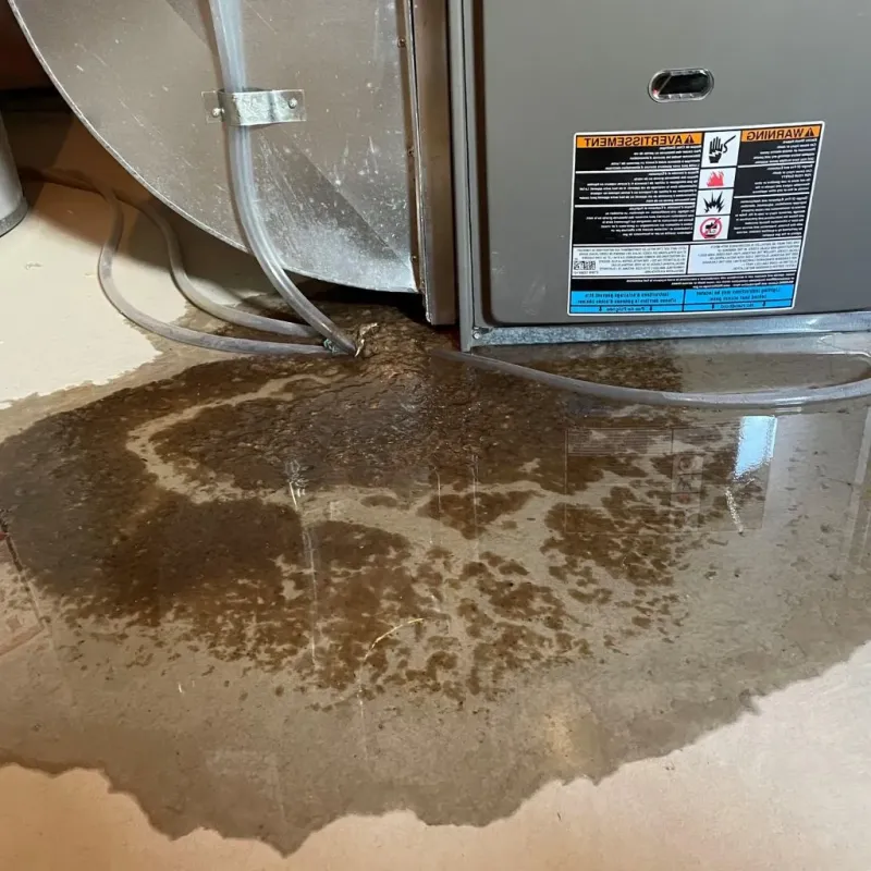 Pipe Burst and Leak Restoration in Custer County, ID