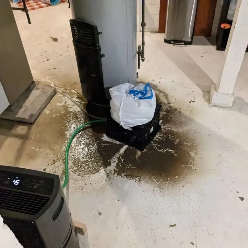 Sewage Backup Cleanup Service in Custer County, ID